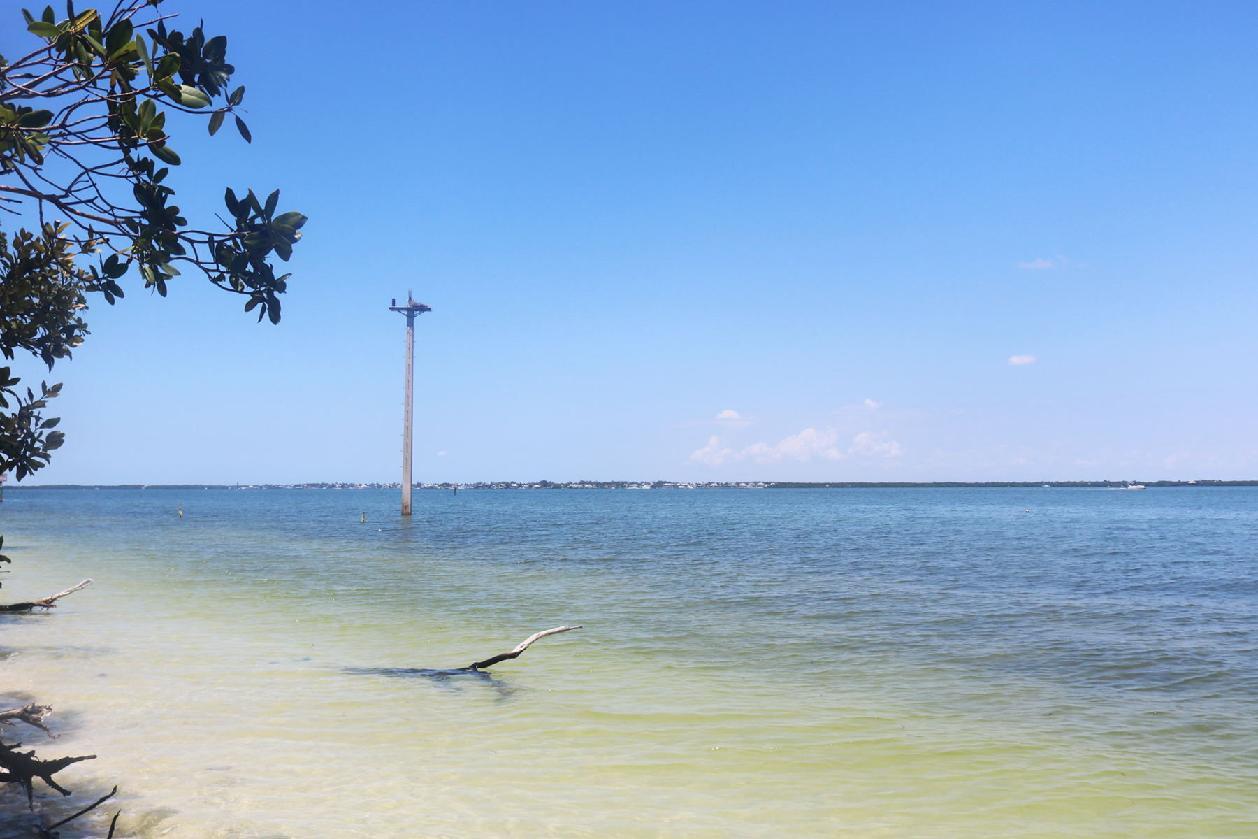 A power pole juts out of the water near a beach.